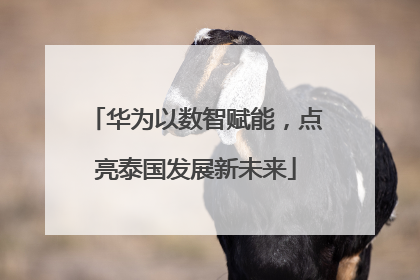 华为以数智赋能，点亮泰国发展新未来