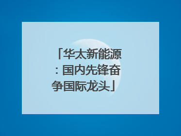 华太新能源：国内先锋奋争国际龙头
