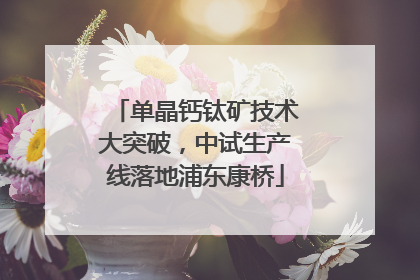 单晶钙钛矿技术大突破，中试生产线落地浦东康桥