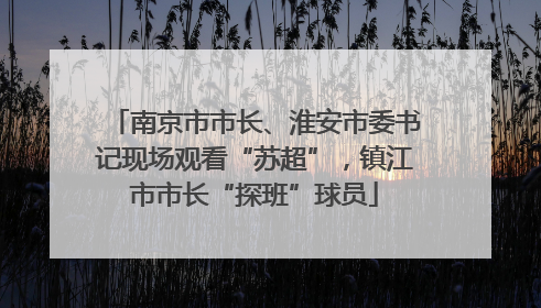 南京市市长、淮安市委书记现场观看“苏超”，镇江市市长“探班”球员