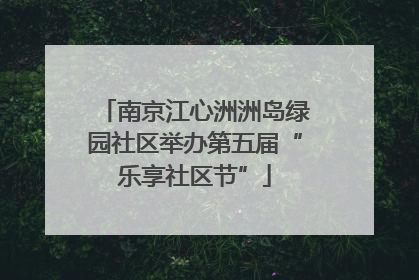 南京江心洲洲岛绿园社区举办第五届“乐享社区节”