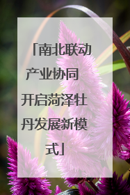 南北联动产业协同 开启菏泽牡丹发展新模式