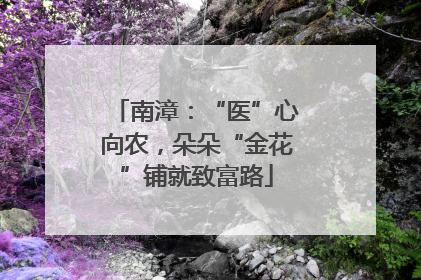 南漳：“医”心向农，朵朵“金花”铺就致富路