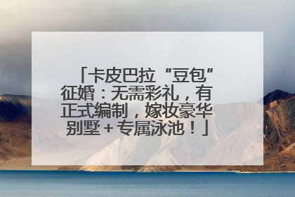 卡皮巴拉“豆包”征婚：无需彩礼，有正式编制，嫁妆豪华别墅＋专属泳池！