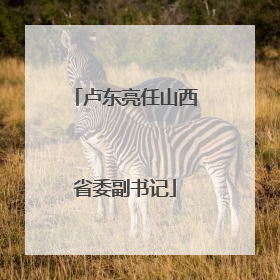 卢东亮任山西省委副书记
