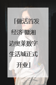 做活首发经济 赣湘边奥莱数字生活城正式开业