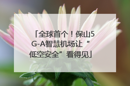 全球首个！保山5G-A智慧机场让“低空安全”看得见