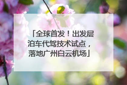 全球首发！出发层泊车代驾技术试点，落地广州白云机场
