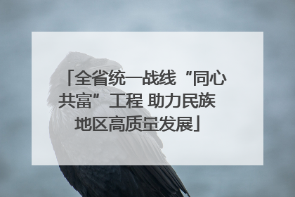 全省统一战线“同心共富”工程 助力民族地区高质量发展