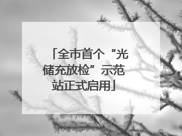 全市首个“光储充放检”示范站正式启用
