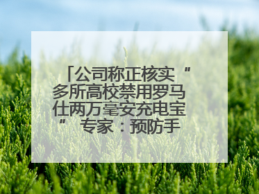 公司称正核实“多所高校禁用罗马仕两万毫安充电宝” 专家：预防手机没电选中等体积产品即可