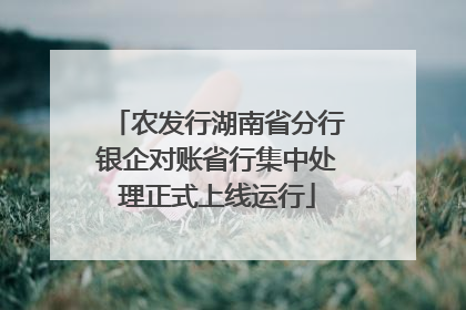 农发行湖南省分行银企对账省行集中处理正式上线运行