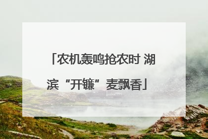 农机轰鸣抢农时 湖滨“开镰”麦飘香