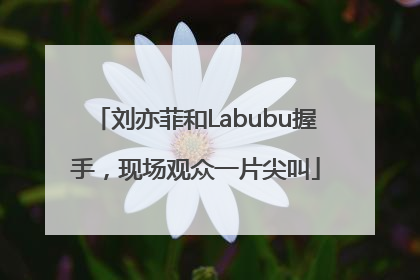 刘亦菲和Labubu握手，现场观众一片尖叫