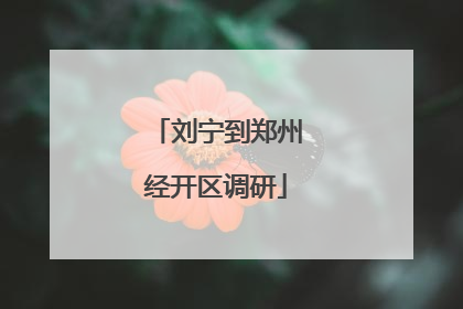 刘宁到郑州经开区调研
