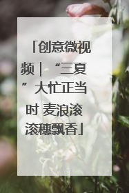 创意微视频｜“三夏”大忙正当时 麦浪滚滚穗飘香