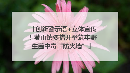 创新警示语+立体宣传！葵山镇多措并举筑牢野生菌中毒“防火墙”