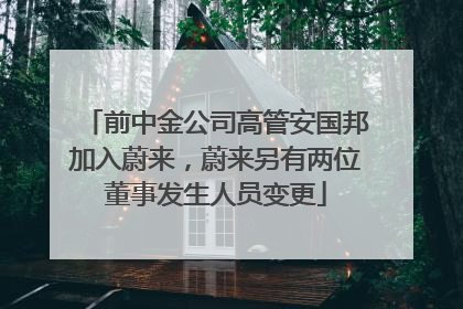 前中金公司高管安国邦加入蔚来，蔚来另有两位董事发生人员变更