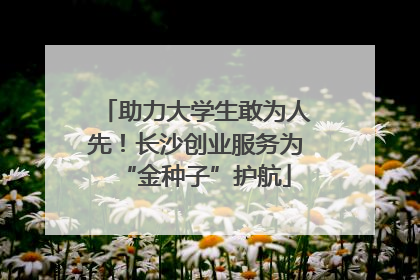 助力大学生敢为人先！长沙创业服务为“金种子”护航