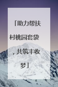 助力帮扶村桃园套袋，共筑丰收梦