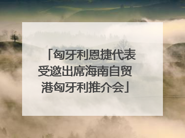 匈牙利恩捷代表受邀出席海南自贸港匈牙利推介会