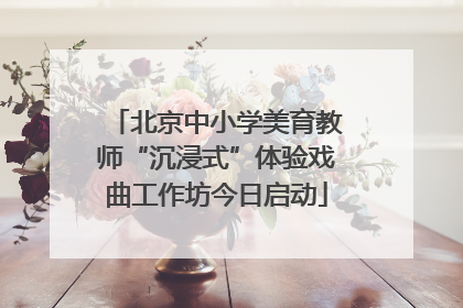北京中小学美育教师“沉浸式”体验戏曲工作坊今日启动