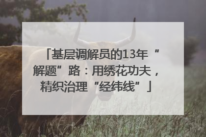 基层调解员的13年“解题”路：用绣花功夫，精织治理“经纬线”