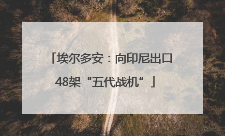 埃尔多安：向印尼出口48架“五代战机”