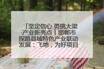 坚定信心 勇挑大梁·产业新亮点丨邯郸市探路县域特色产业联动发展：飞地，为好项目跨域安个家