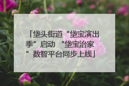 垡头街道“垡宝演出季”启动 “垡宝治家”数智平台同步上线