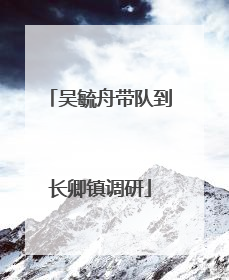 吴毓舟带队到长卿镇调研
