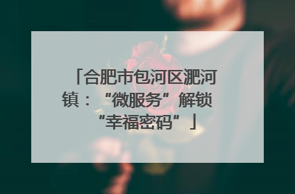 合肥市包河区淝河镇：“微服务”解锁“幸福密码”