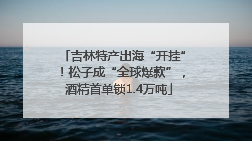 吉林特产出海“开挂”！松子成“全球爆款”，酒精首单锁1.4万吨