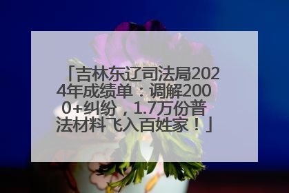 吉林东辽司法局2024年成绩单：调解2000+纠纷，1.7万份普法材料飞入百姓家！