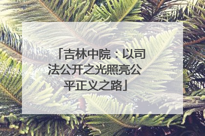 吉林中院：以司法公开之光照亮公平正义之路