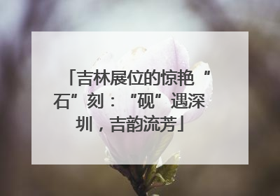 吉林展位的惊艳“石”刻：“砚”遇深圳，吉韵流芳