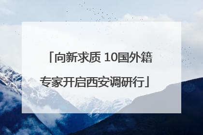 向新求质 10国外籍专家开启西安调研行