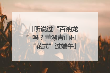 听说过“百衲龙”吗？黄湖青山村“花式”过端午