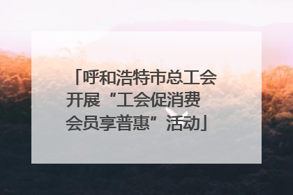 呼和浩特市总工会开展“工会促消费 会员享普惠”活动