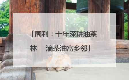 周利：十年深耕油茶林 一滴茶油富乡邻