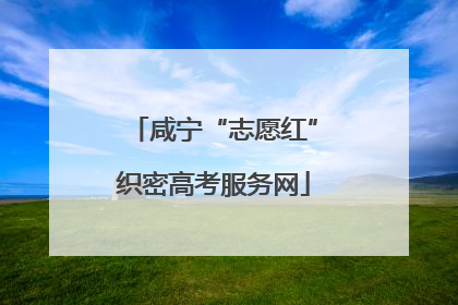 咸宁“志愿红”织密高考服务网