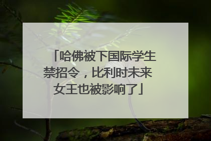 哈佛被下国际学生禁招令，比利时未来女王也被影响了