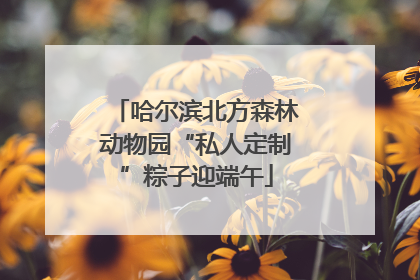 哈尔滨北方森林动物园“私人定制”粽子迎端午
