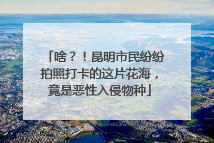 啥？！昆明市民纷纷拍照打卡的这片花海，竟是恶性入侵物种