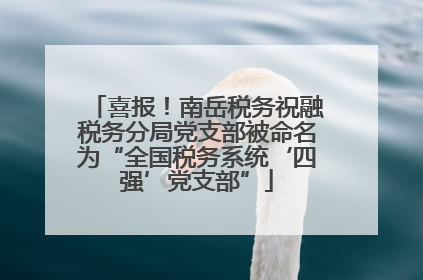 喜报！南岳税务祝融税务分局党支部被命名为“全国税务系统‘四强’党支部”