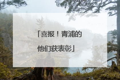 喜报！青浦的他们获表彰