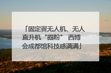固定翼无人机、无人直升机“圈粉” 西博会成都馆科技感满满