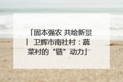 固本强农 共绘新景 ︳卫辉市南社村：蔬菜村的“链”动力