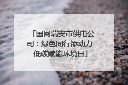国网瑞安市供电公司：绿色同行添动力 低碳赋能环境日
