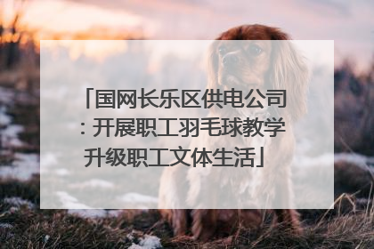 国网长乐区供电公司：开展职工羽毛球教学升级职工文体生活